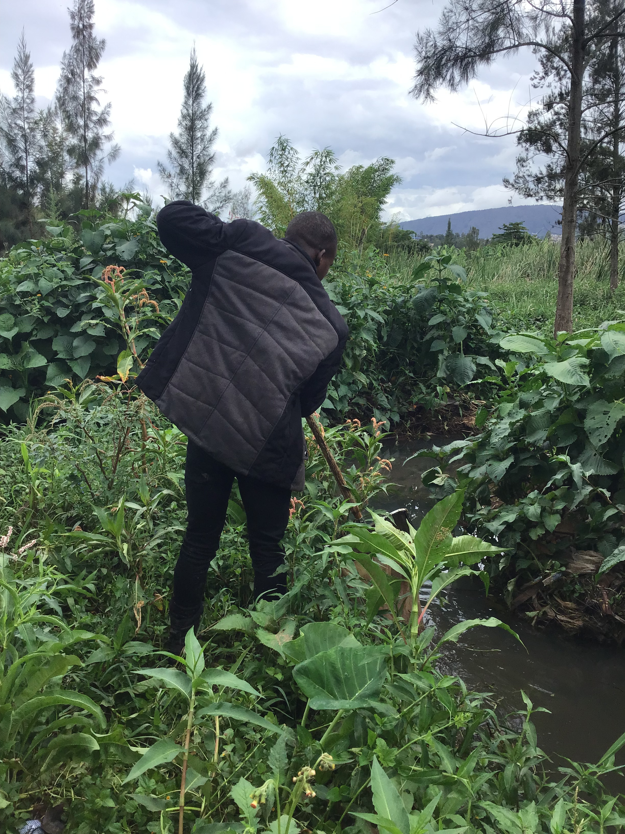Wildlife Monitoring